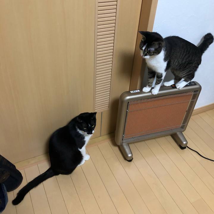 543b0b8b 99f2 49e5 b791 23f9a391f971 1556224840072