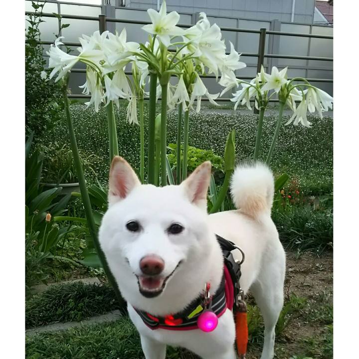 543b4942 af16 46f3 8048 c6bc7315926e 1562668208015