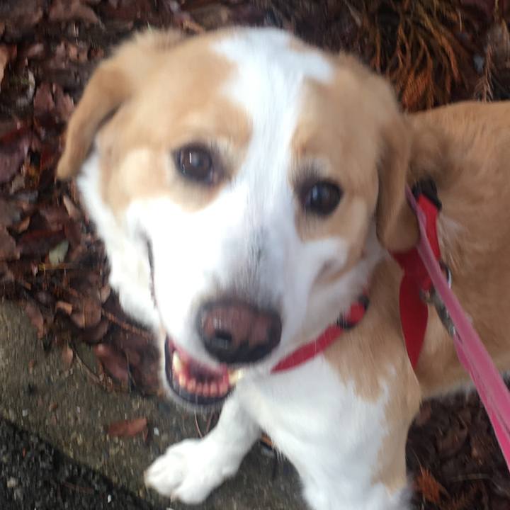 543b55ad 64f1 417b b982 1afb5494791d 1520639678340