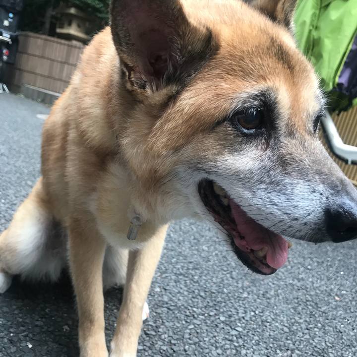 543b5ccd 9b01 4790 a6ce be33d9e94e93 1533509961915