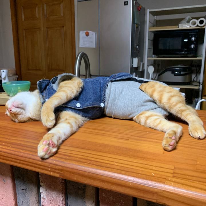 543b66a3 3af6 4f32 8511 01ca37a4cdde 1655634687207