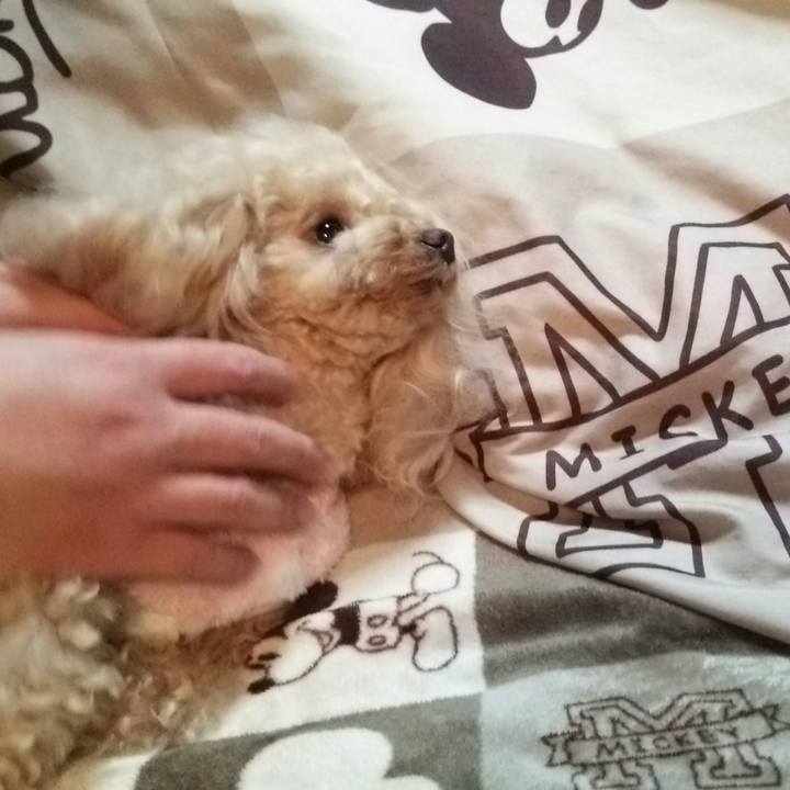 543b7c30 7c55 4488 be3c c16229faf3a7 1551873048909