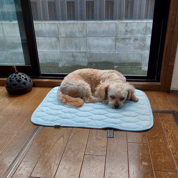 543b7ca1 993a 4ae3 ac39 9871684e353d 1627864097970