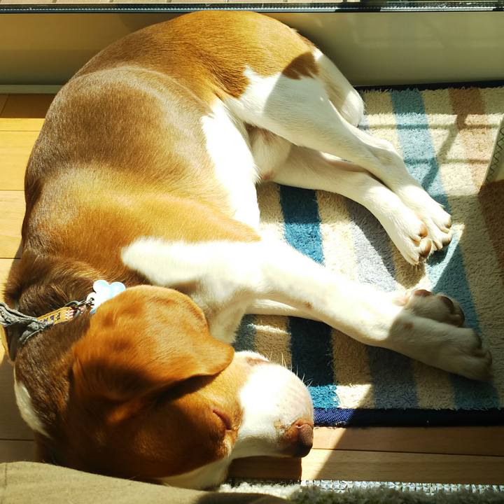 543b8a4c e255 4b4b b125 cf925bd39393 1584676058166