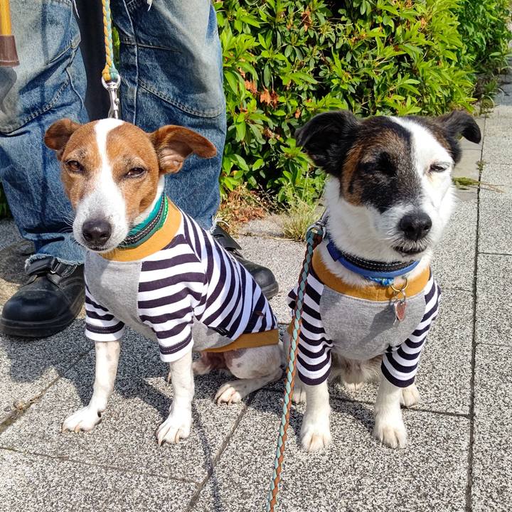 543ba78c 7560 4420 8917 1b34dd03d1ae 1716508118766