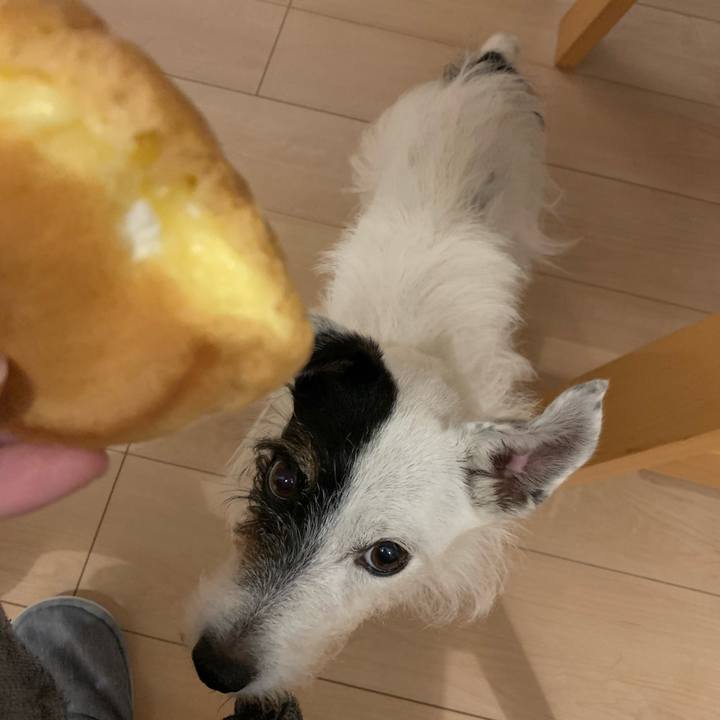 543bbbb5 d07c 4755 b5ce 2b01d2989f9f 1696685549726