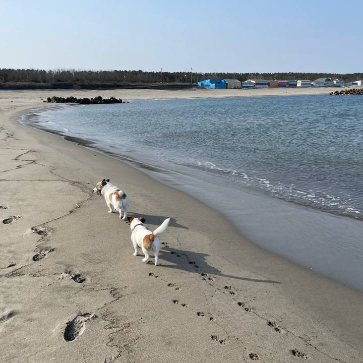 543be910 9658 4915 a342 3067bede2eac 1649290912301