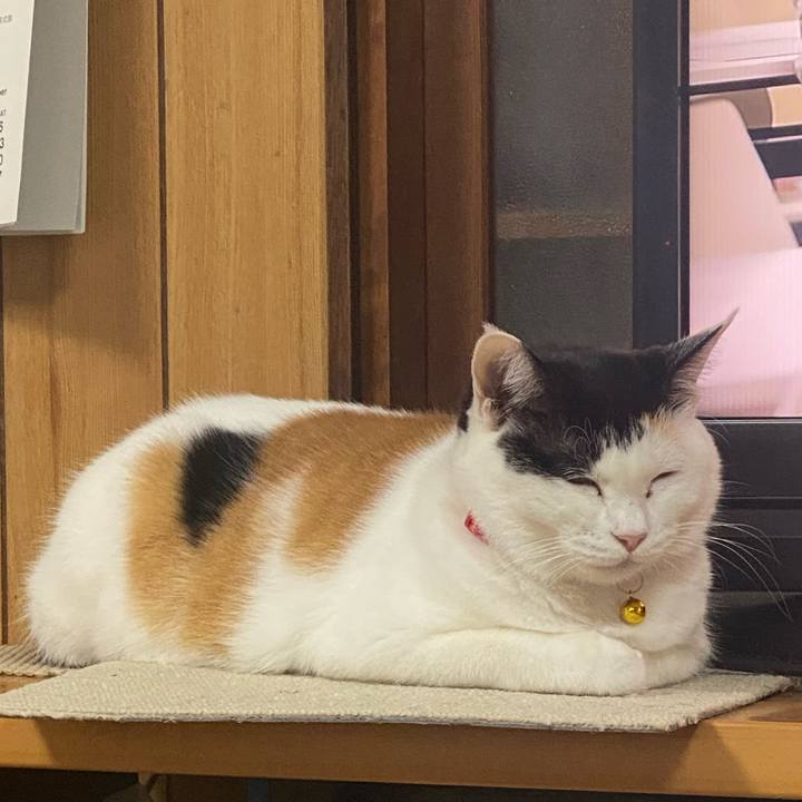 543bf33f 6389 4bec 95ca 29316a5a3bfa 1763636641617