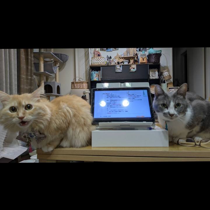 543c2d3f 9ad6 4545 b0eb f939c5d415b4 1760003681932