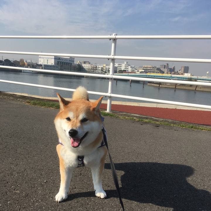 543c3646 fdff 4134 8106 1630ab09cb9d 1543896683040