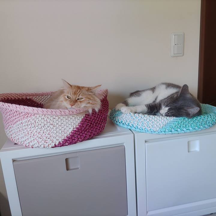 543c3d2c 400a 48c0 a194 3d804019d5a0 1655595740213