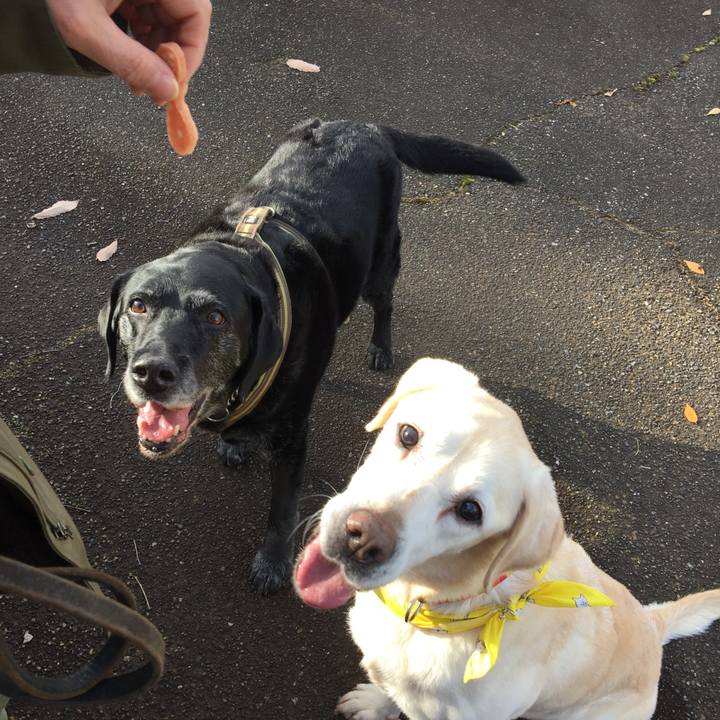 543c50a8 011b 464c bc19 a78683998f37 1554436832139