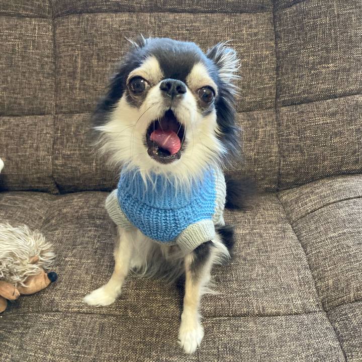 543c59b3 f411 4ffc 94e6 de39470089be 1704692982035