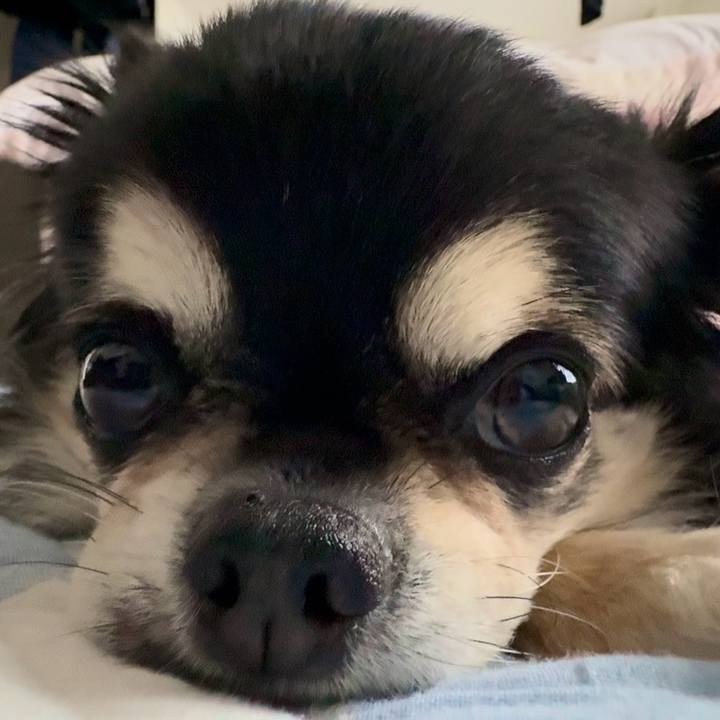 543c5f7b 2992 4019 a78f ea5083828d82 1755306219792