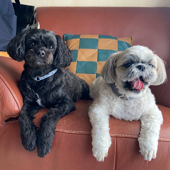 543c65c5 4986 4b58 90c5 ef28d9128c63 1697473728587