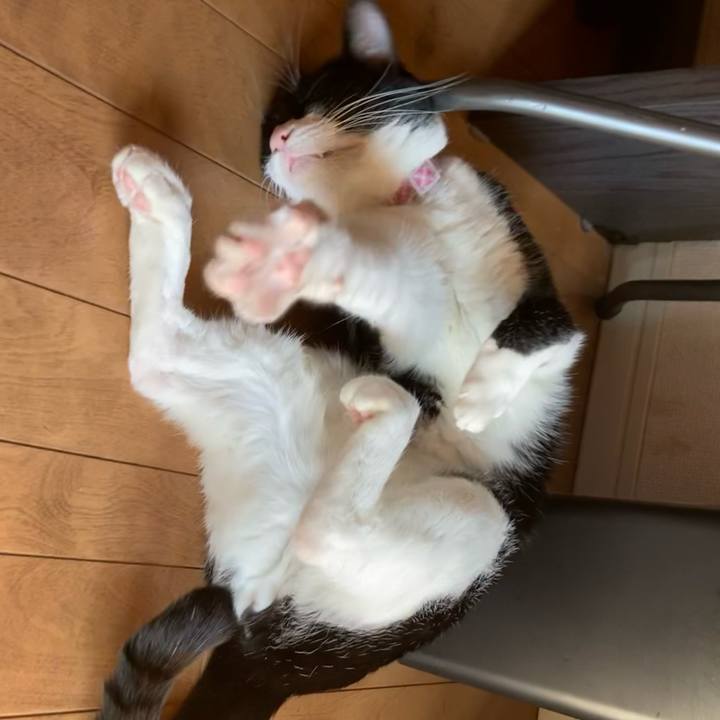 543c7401 ac4c 4bbf ac39 ee636988a684 1642818947354