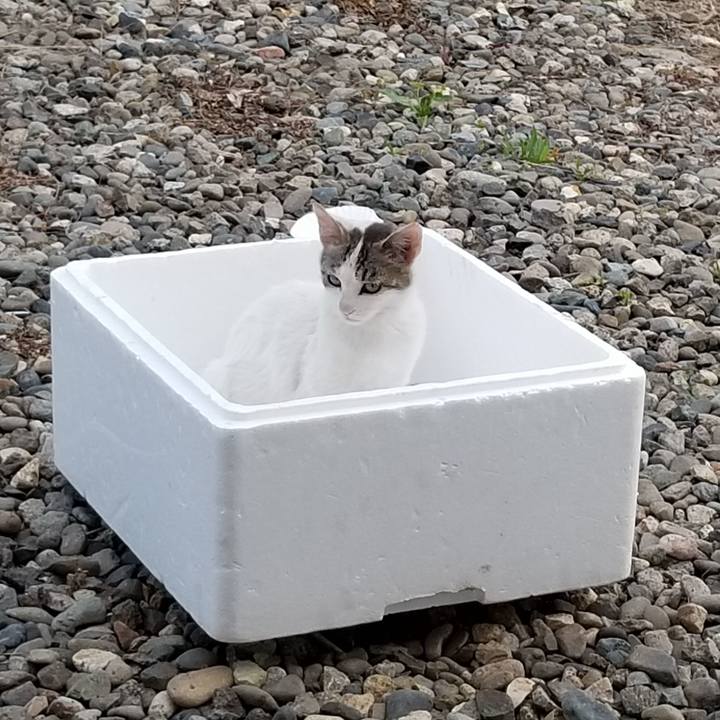 543c8e0e 5320 44bb 9945 21a7b832bfd0 1560521782096