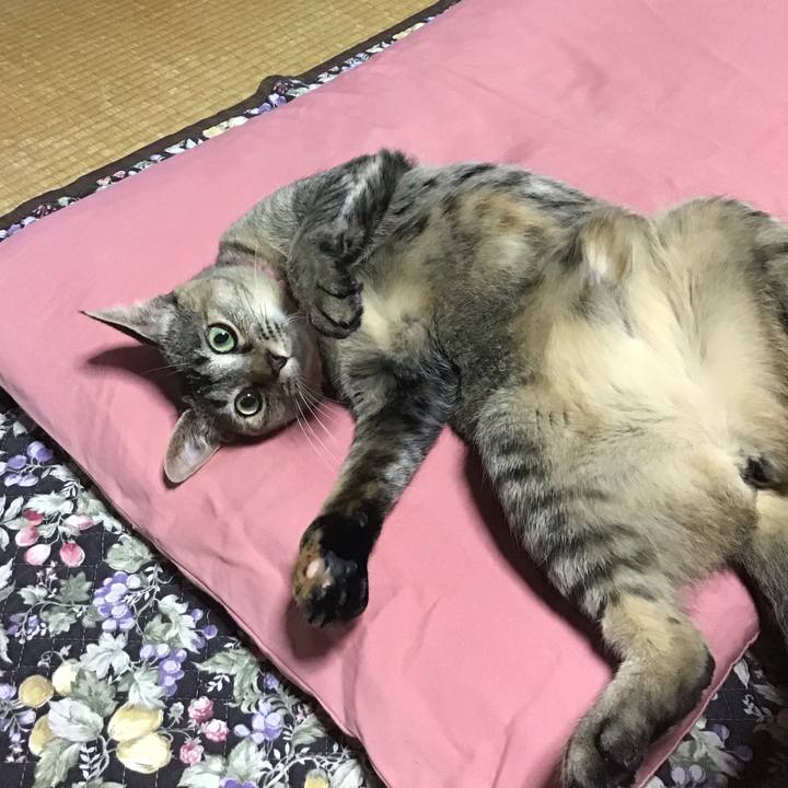 543caac5 190c 4ed4 9dd2 a24d07ea2847 1592081968125