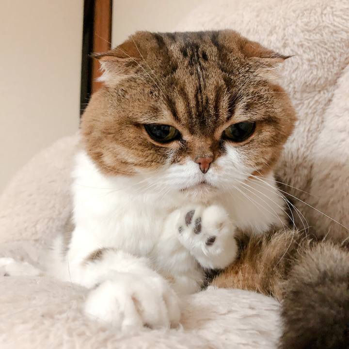 543cc807 edd0 4d94 9c78 bc671d4b002a 1577797202886