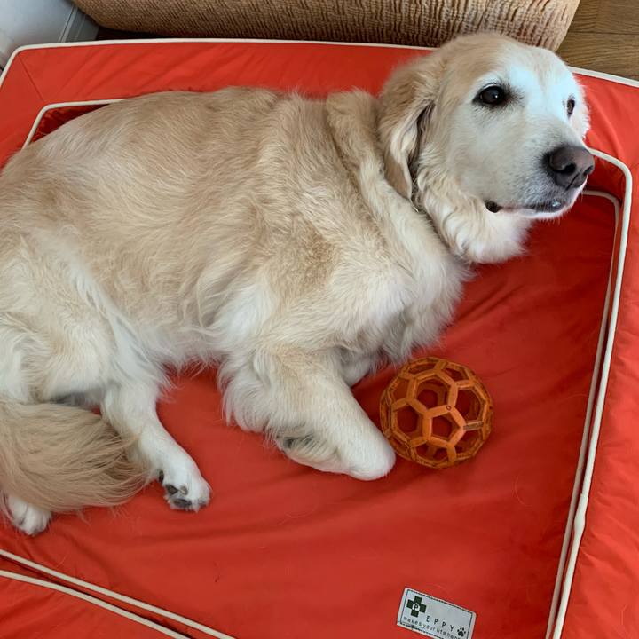 543cdc69 c55f 4cab b273 d994e5976055 1631749906840