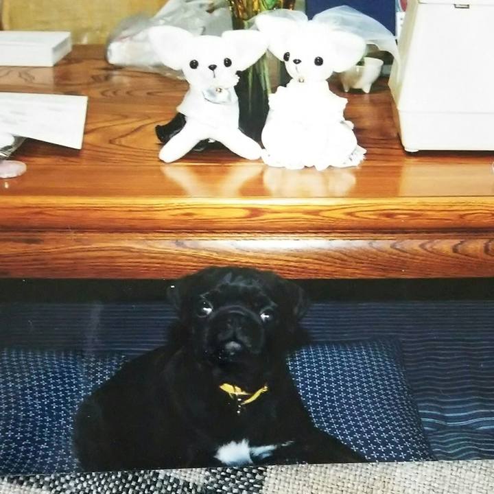 543cf004 eeee 4a31 b45f 3bfec8fab8fc 1581523831162