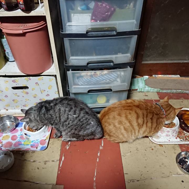 543d2b2d e57a 4da7 8835 7d4086bc1e2e 1571947576242