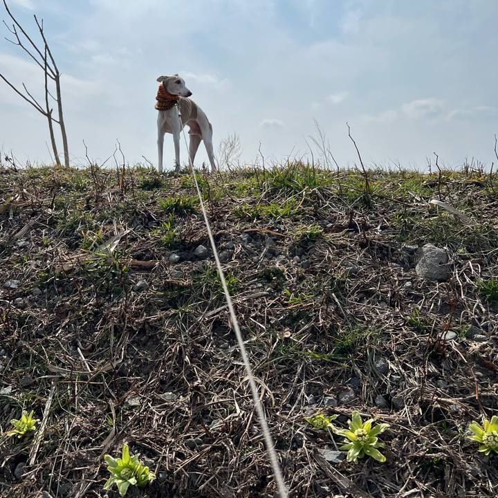 543d810c 0c1d 4118 9b03 f12be5cd8d3b 1774773329369