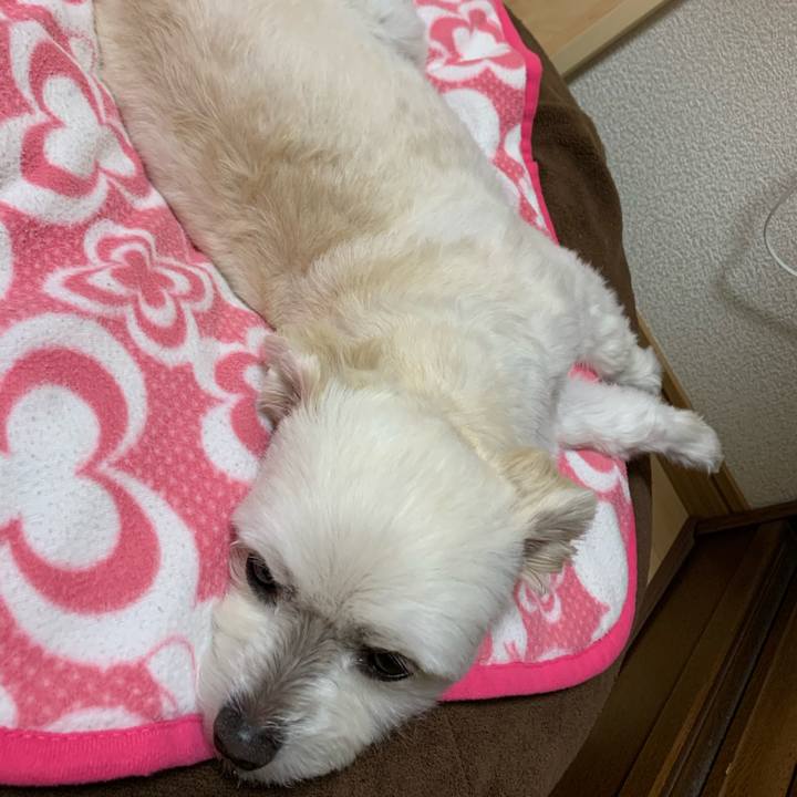 543da240 ff4c 4454 9d89 548c339c2bdc 1583928006200