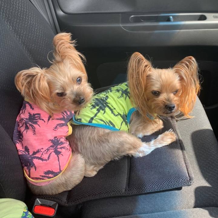 543dc5f5 07fc 4daf b9c3 28d20c502abc 1620467407152