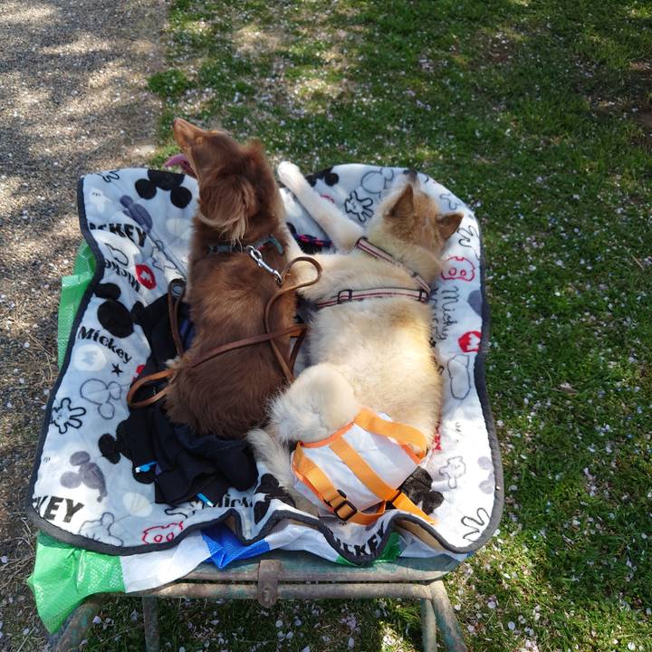 543df24e 3898 4ba3 9bd9 d18e3b64b1f7 1649473579192