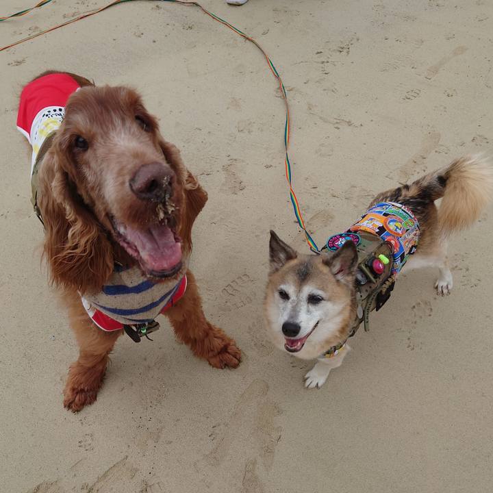 543e2841 21ea 4764 9d1c 6480e1dad37e 1677237768361