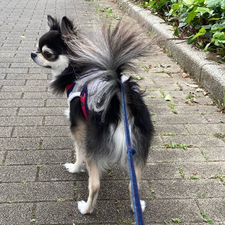 543e745f 1584 4363 a365 55226bd8e08e 1715484479293