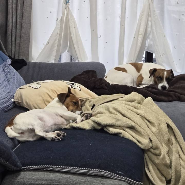 543e81f5 fb6e 4b29 8d96 280b55f710a4 1764728969162