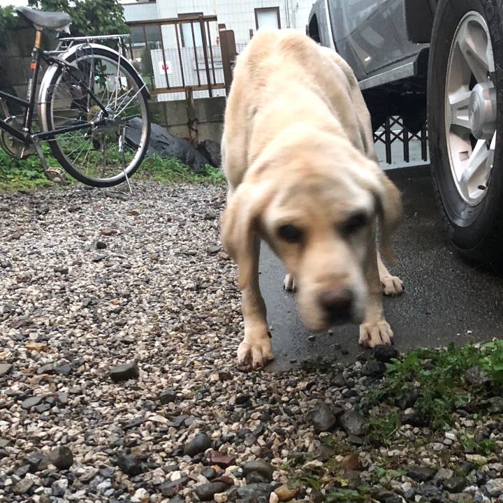 543e948c 2424 43ad 8089 2745aeded24f 1507929084896