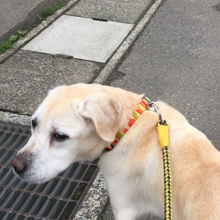 543e9ef5 2738 49c6 a0c5 11aafb1ea422 1525852915056