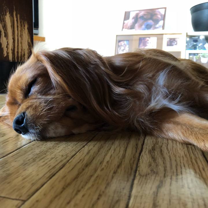 543ef1a2 1381 4026 9220 d8a4fad0b830 1530482573884