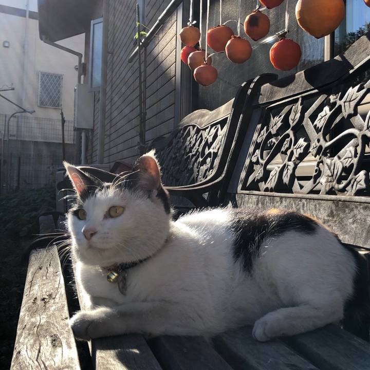 543ef603 5fa4 4a4c 9ea7 e3f519790432 1733825226092