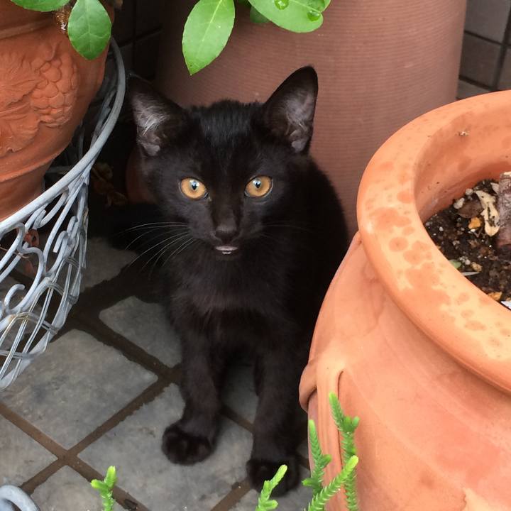 543f57be 0ebe 468b a040 ec9801b35537 1568358016066