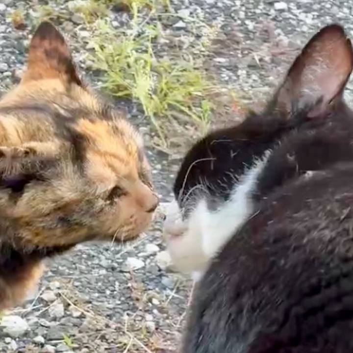 543f5ca9 9fdd 4b2f 9e6b d1a850c2284b 1757058152473