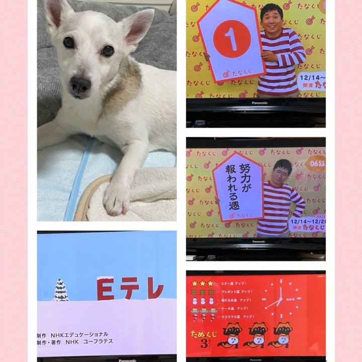 543f8fc9 0780 4c14 9223 ea6c88227fc3 1607897139307