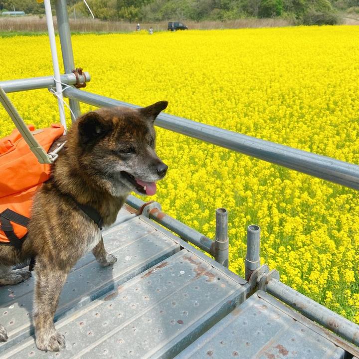 543fb995 4058 439e 8ad1 ec71ed91a450 1588480053927