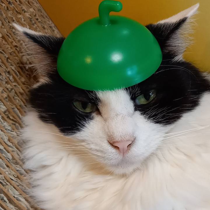 543fca46 467d 42f9 88c1 483eedd24b18 1660222826788