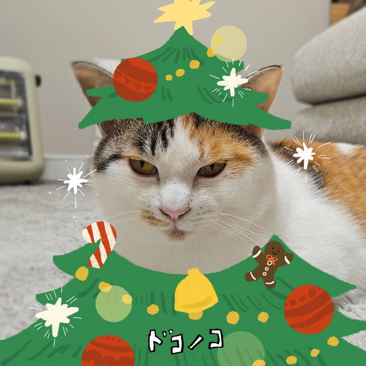 543fcd38 74af 4be7 bfd9 516d4bed633e 1762514846631