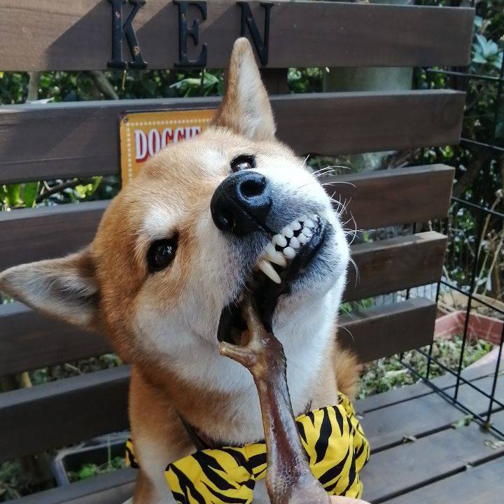 543ff3c9 9c3a 47df 9441 a34770d664c2 1643340375774