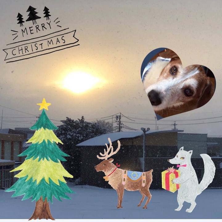 54400dd8 7cb9 4f81 ad71 30c3dae884b4 1545607511486