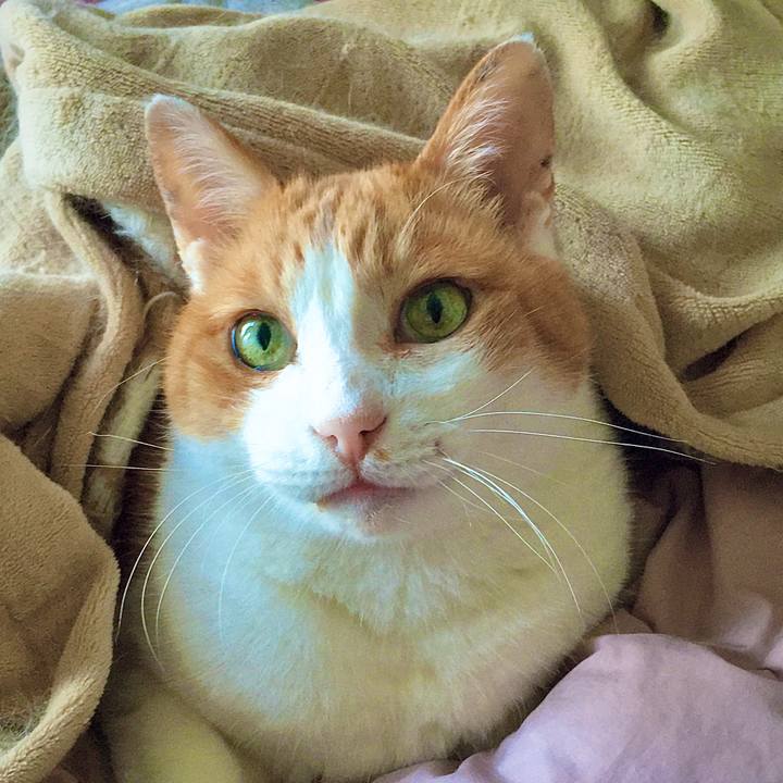 54401d2b 58a2 4a1c 8fc6 bf18c4170bc4 1609406567620