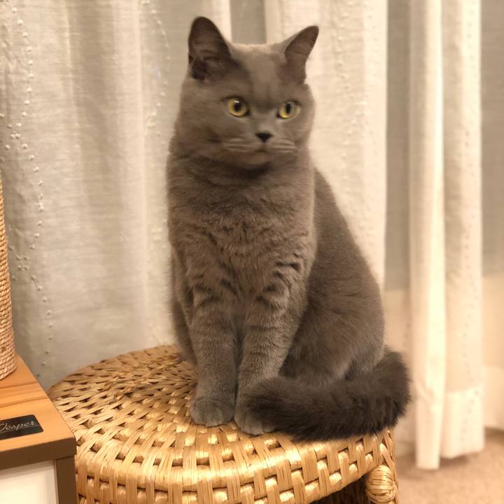 544021cc da9f 44b7 97eb adebbe3c145f 1541501688654