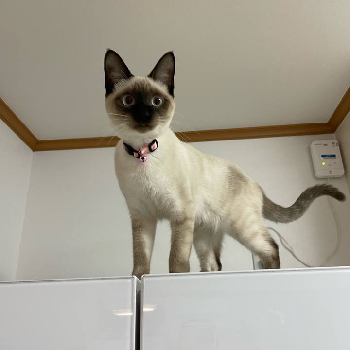 5440220a 9f51 4426 ae21 b842770d8aa0 1698955268023