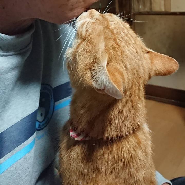 54404794 567b 4df4 9f65 9bef22115230 1603741747532