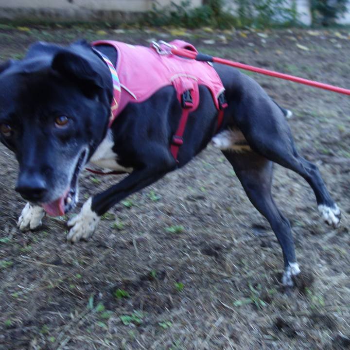 5440583f c686 4cc9 a7cc 2af4529abbbc 1697504459354